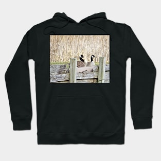 Canada Geese Pair No.5 Hoodie